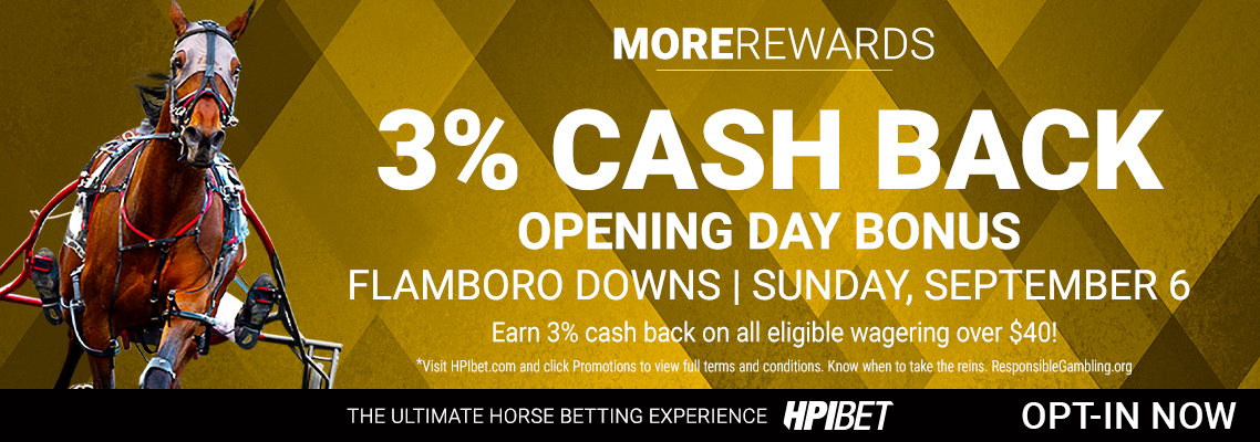 Flamboro 3% Cash back 2023